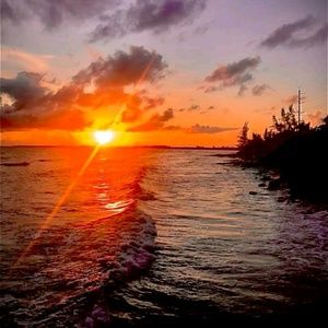 Meet your Posher, Steph